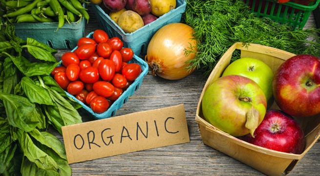 Potential for organic agriculture remains high