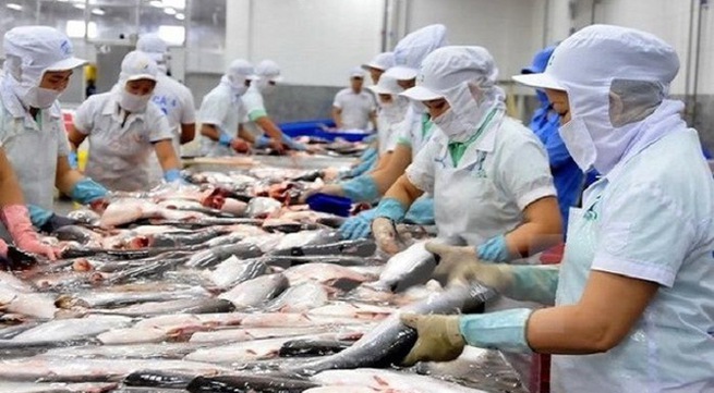 Vietnam's frozen fish fillets to face record high antidumping duties in U.S.