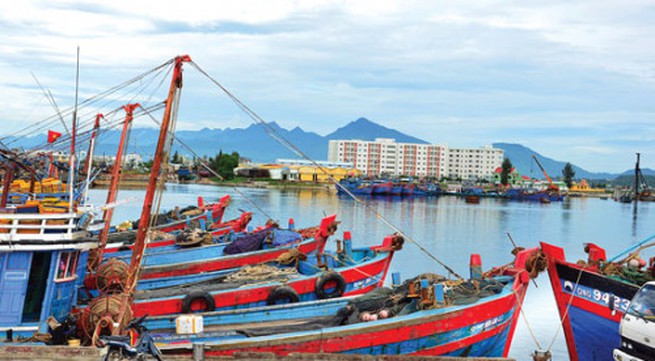 Quang Ngai strives to end illegal fishing