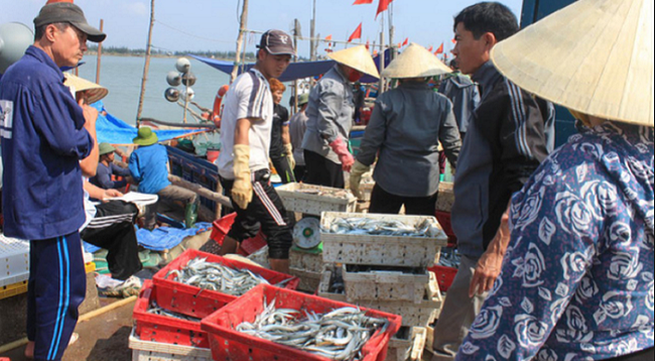 Requirements for vietnam's seafood exports to the EU