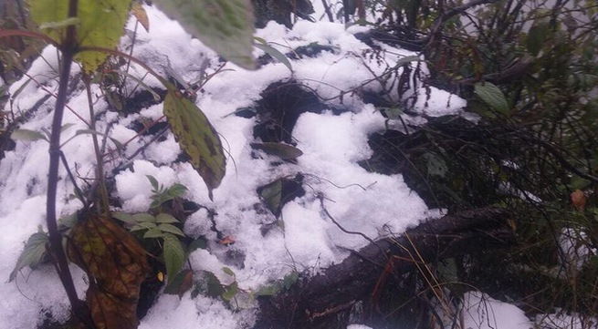 Snow pellets fall on Mount Fansipan