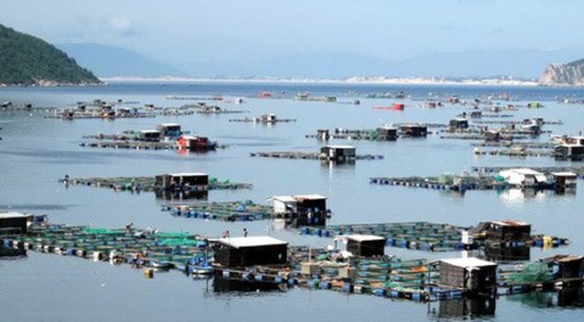 Phu Yen approves plan to develop aquaculture
