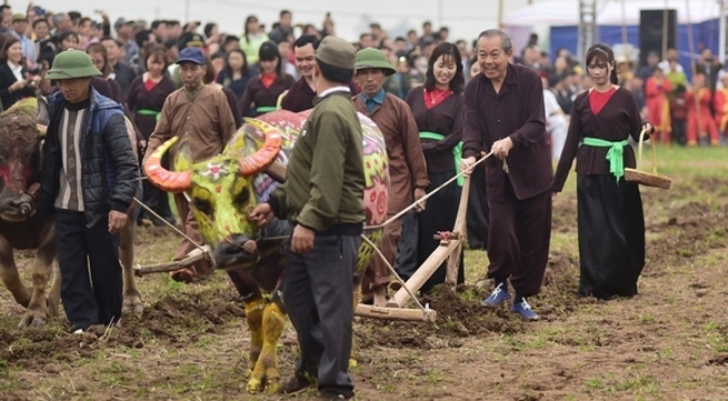 Deputy PM Truong Hoa Binh attends re-enacted field ploughing festival