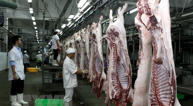 HCM City to open six cattle slaughterhouses