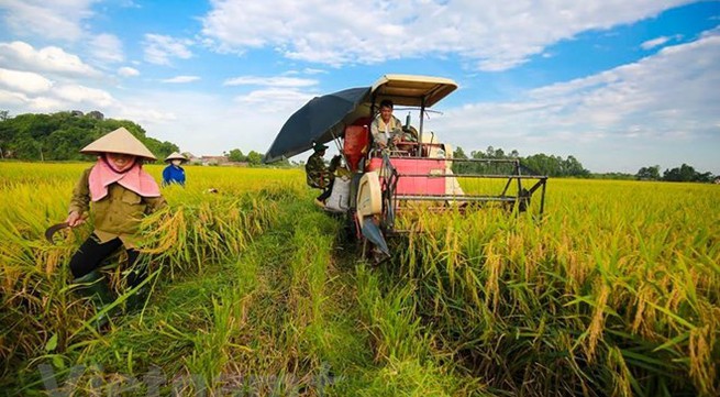 Mekong Delta province provides housing land for poor households