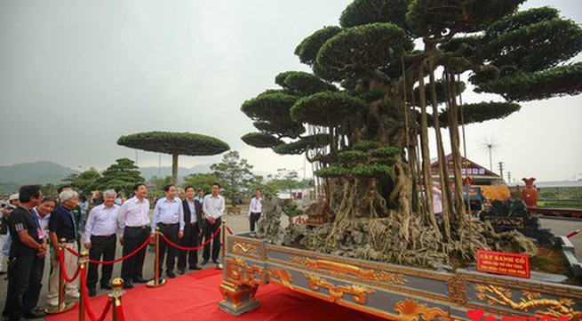 Vietnam chosen to host Asia-Pacific Bonsai Exhibition 2019