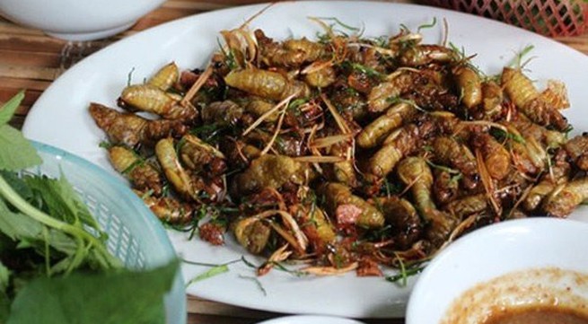 Dried milk cicadas: A must try dish for visitors to Son La