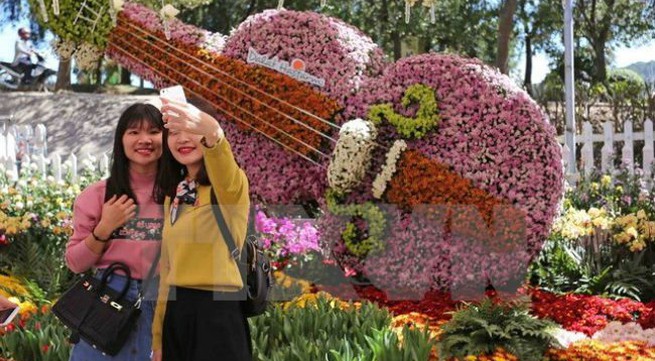 Lam Dong Province to hold flower festival in December