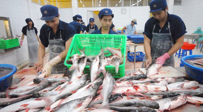 Opportunities for tra fish export sector