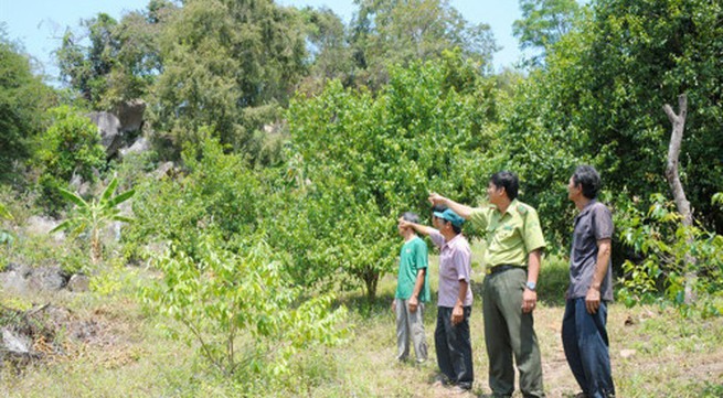 An Giang province faces high risk of forest fire