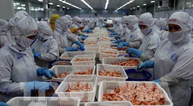 Sustainable development for Vietnamese shrimp industry