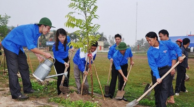 Effectively implementing New Year tree-planting festival