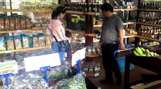 Vietnamese firms to introduce products at South African supermarkets
