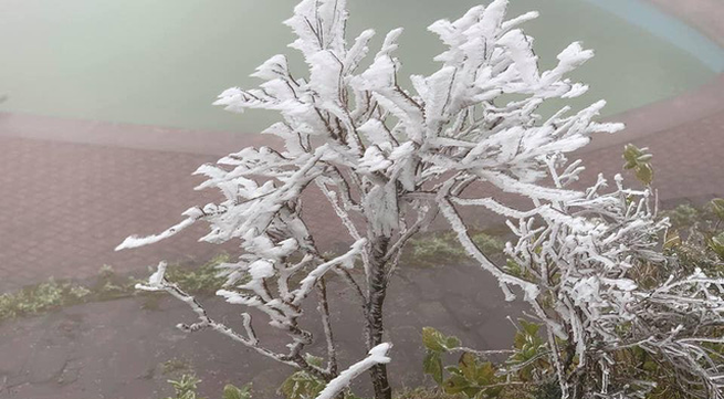 Cold spell continues in the Northern region