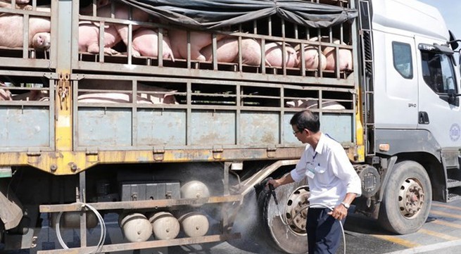 African swine fever continues to spread