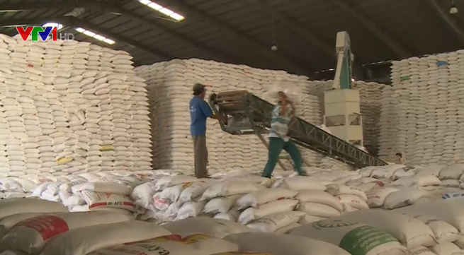 Value of rice exports falls