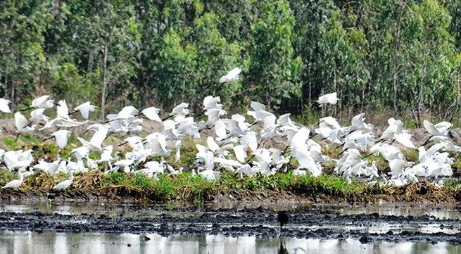 Unique Lang Sen Wetland Reserve