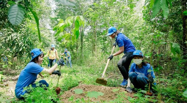 Dong Nai: Forest planting improves habitats of elephants