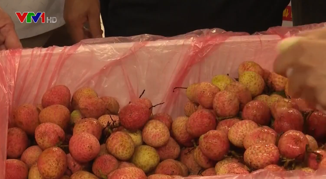 Lychees from Vietnam sell at high prices in China
