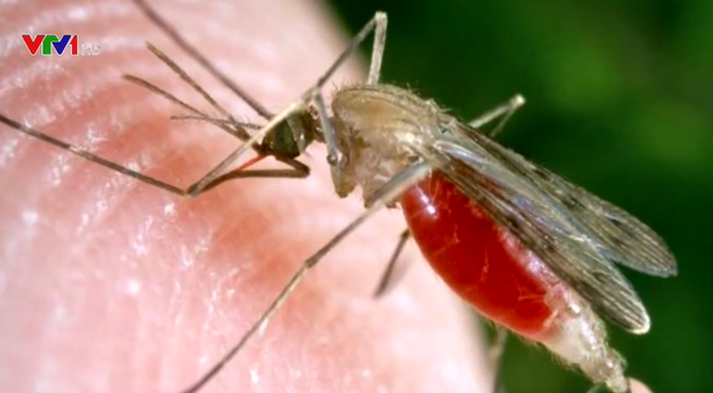 Drug-resistant malaria spreads in Southeast Asia