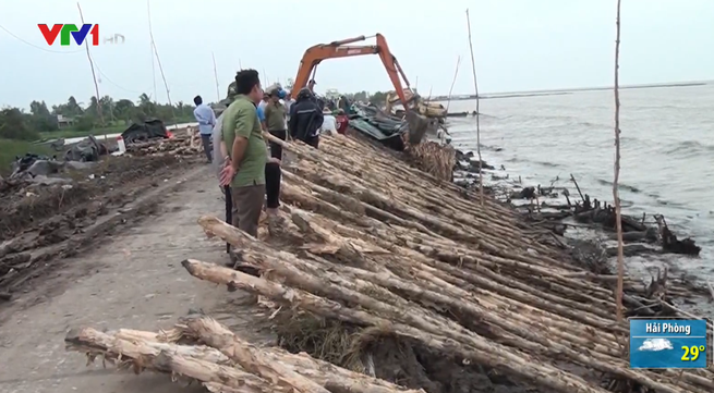Ca Mau sea dike at risk of being breached