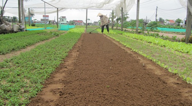 Central province approves hi-tech farms