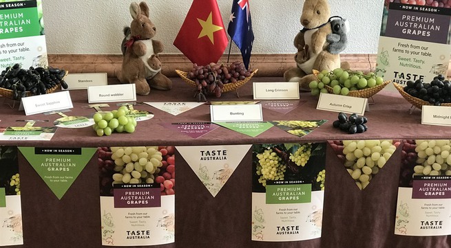 Australia to boost VN trade ties through table grapes