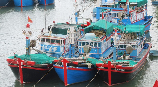 Ninh Thuận develops marine economy