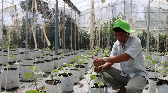 Mekong farmers prosper with organic farming