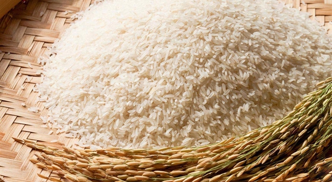 Lộc Trời Group and Tấn Vương Food JSC to export 84,000 tonnes of rice to China