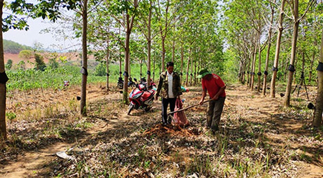 Kon Tum District reduces poverty by supporting agriculture, business
