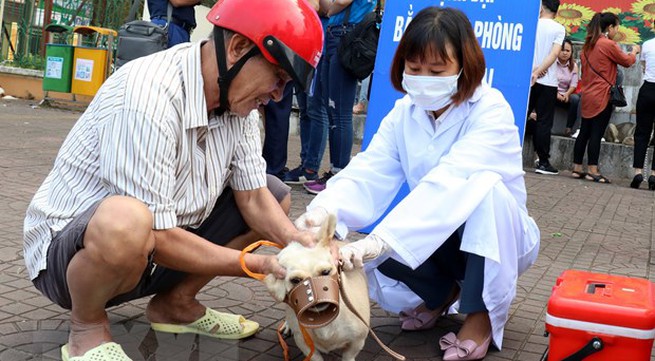 North Việt Nam reports highest rabies deaths