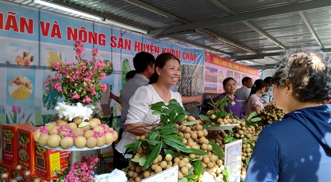 2019 Hưng Yên longan week opens in Hà Nội