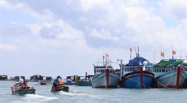 Huỳnh Đế crabs bring better income to Phú Quý Island fishermen