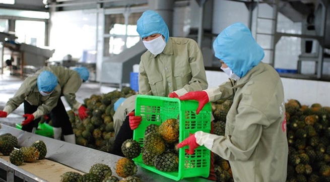 Vietnamese export products face stricter non-tariff barriers in EU