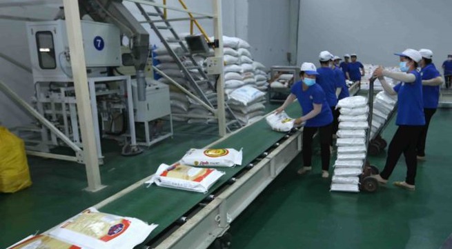 Việt Nam faces difficulties in rice exports