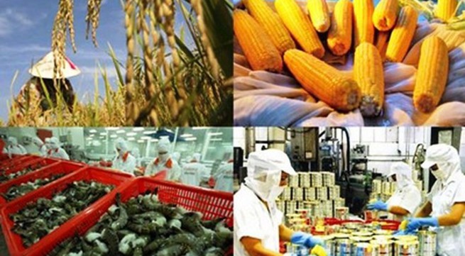 Vietnam's agriculture reaches highest growth in 7 years