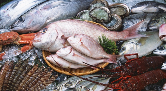 Aquaculture products imported into ASEAN to reach $US1bln