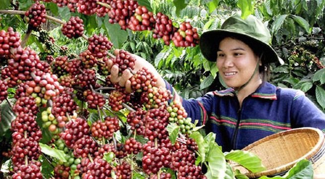 Coffee industry strives to earn US$5 billion from export by 2030.