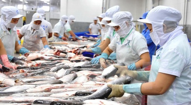 U.S cuts import tax on Vietnamese Tra fish
