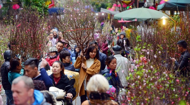 Hanoi to open 51 spring flower markets ahead of Tet