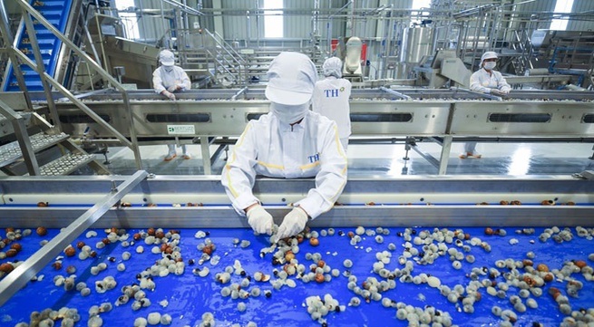 Fresh fruit and herb processing factory comes into operation in Son La