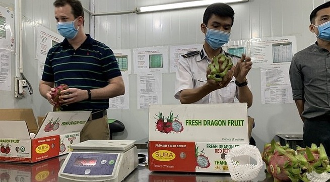 Quarantine stepped up for fruit exports to US