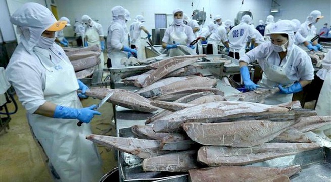 Local tuna exports to US market enjoy swift recovery