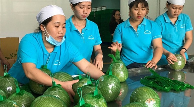New opportunities for Vietnamese fruits and vegetables