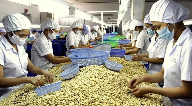 Vietnam’s two-month cashew exports to US up