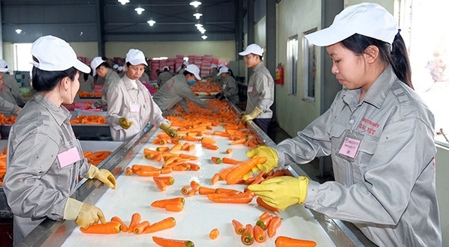 Improved processing industry helps enhance agricultural products