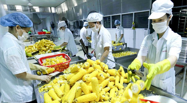 The Economist: Vietnam among safe economies in wake of COVID-19