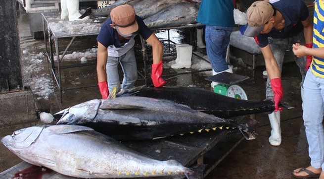 EU to remove tax on 11,500 tonnes of Vietnamese canned tuna