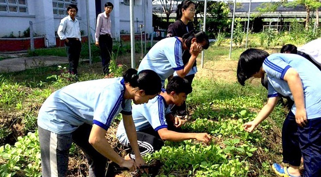 Japanese organisation provides aid to develop organic agriculture in Dong Thap